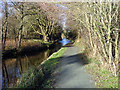 Beside the Llangollen Canal