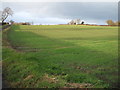 Crop field off the A68