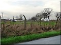 Paddock at Carlton Caravan Site, off Race Lane