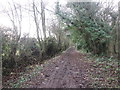 Bridleway to Gateford in Owday Wood