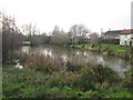 The village pond, Carlton in Lindrick