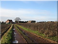 Approaching Hodsock Lodge Farm