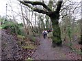 Llwybr ger Heol Taillwyd / Path near Taillwyd Road