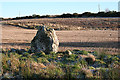 Bogton Stone Circle (9)