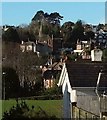 Chelston from Falkland Road