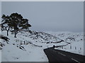 Winter walk, Leadhills