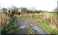 Gates into pastures beside the A143 road