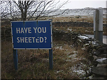 SD7074 : Have you Sheeted? by Karl and Ali