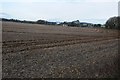 Farmland near Morgan