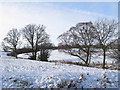 Wooley Burn north of Wooley