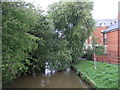 The River Gipping, Stowmarket