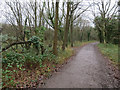 Path on Ashtead Common