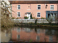 Bushey Village Pond