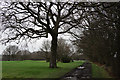 Footpath at Crews Hill