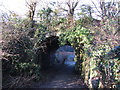 Bridge beneath a former railway line at Taffs Well