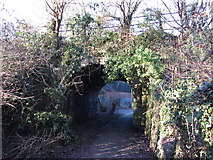 ST1283 : Bridge beneath a former railway line at Taffs Well by Gareth James