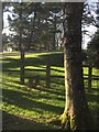 Waymarker and Stile