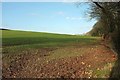 Winter crop, Bokenna Cross