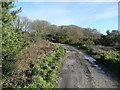 Bridleway east of Wheal Busy, Chasewater