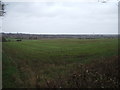 Farmland near Ferryhill