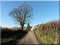 Approaching Madgeon Farm