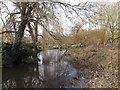 TL2013 : River Lea off Waterend Lane by Geographer