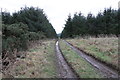 Woodland Track near Portknockie