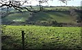 East Looe valley