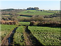 View towards Clifthayne Farm