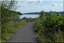 SK2653 : Path along the shoreline of Carsington Water by Mat Fascione