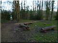 Log seating by crosstracks at Warnham