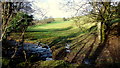 The Rhiwiau Brook and valley