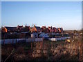 Loughborough Road allotments