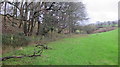 Grazing pasture at the upper end of Winterhead Combe