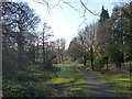 A frosty morning in Coed Melyn Park (2)