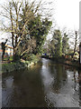 TL1714 : River Lea at Wheathampstead by Geographer