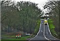 SM9208 : Redstock Lane Near Steynton by Deborah Tilley