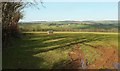 Field near Penhale Farm