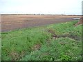 Farmland on the western edge of Eggborough