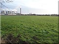 Paddock fence, east of Selby Road