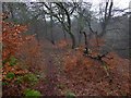 Path near Gruggies Burn