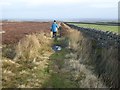 NY8855 : Bridleway above Westburnhope by Oliver Dixon