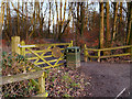 SJ5799 : Entrance to Skitters Wood from Woodedge by David Dixon