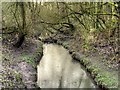 SJ5799 : Skitters Wood, Millingford Brook by David Dixon