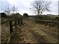 Old stock loading pens, Forfar