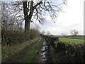 Bark Lane, east of Eastby