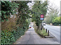 Lower Road and Goldings Hill, Loughton