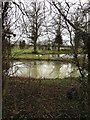 Ponds on Shotwell Mill Lane