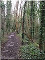 Bridleway close to Rothwell