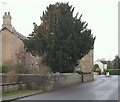 Manor Lane, Church Warsop, Notts.